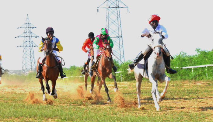  Mr K (right) and High Rise (left) will participate in tomorrow’s Homowo Race Meeting