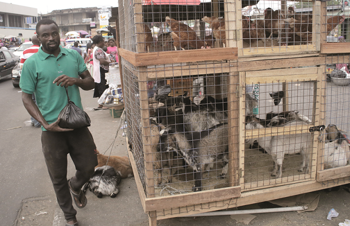  Some fowls and goats ready for sale at Makola in Accra.