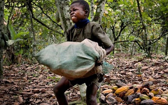 National programme to eliminate child labour in limbo as funding ceases