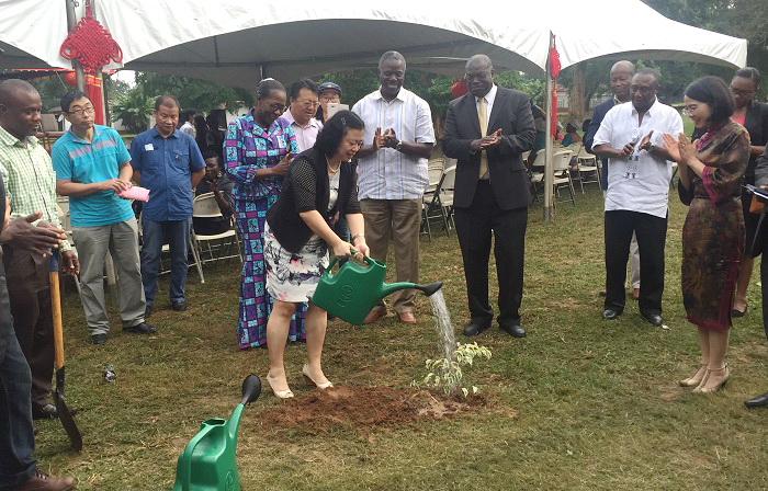 The Chinese Ambassador Madam Sun Baohong waters one of the three plants that signified the sod-cutting ceremony . Looking on is Professor Aryeetey ,Vice Chancellor of the university, The Meilan Mei, Director of the confucius Institute and other invited dignitaries