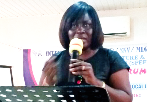 Mrs Nora Ollennu adressing the forum