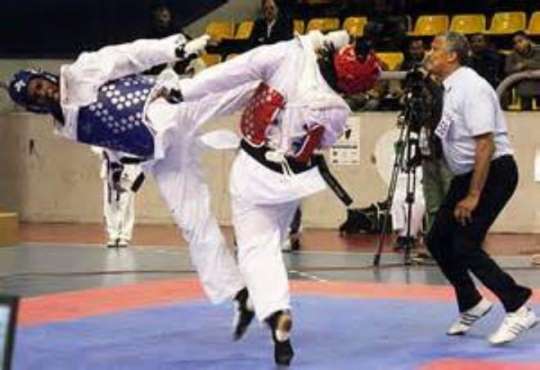 Taekwondoists
