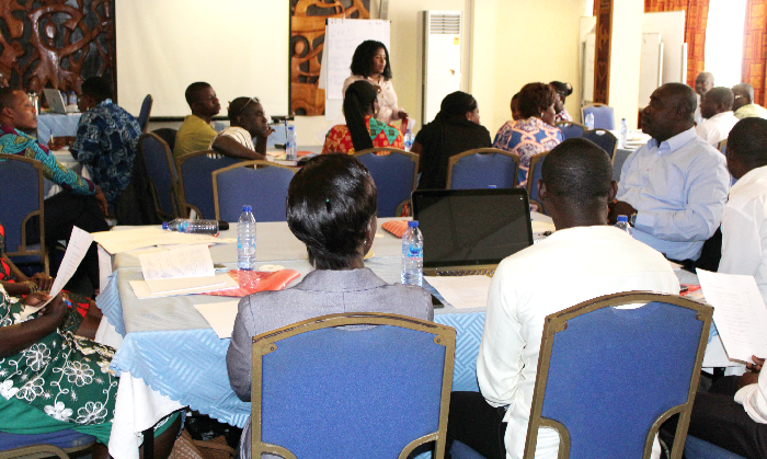 Ms Esther Darko-Mensah (standing) taking the participants through the training