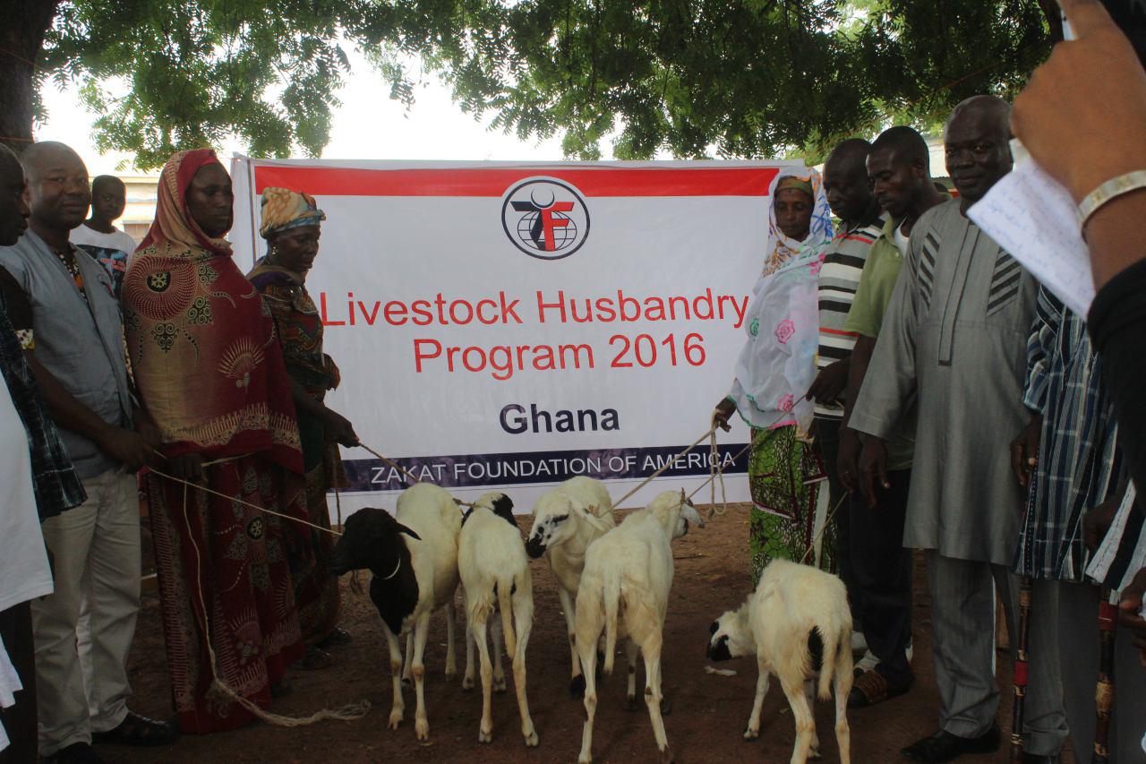 Zakat Foundation launches Livestock Husbandry project