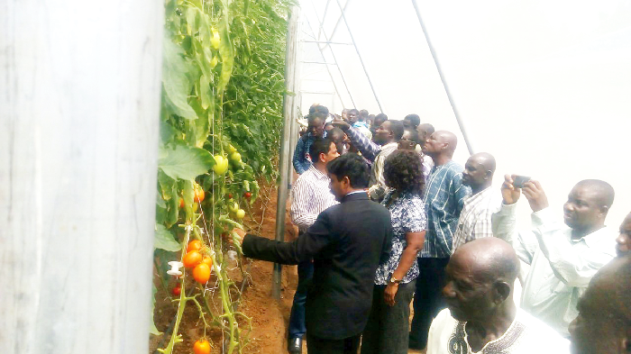 The Indian delegation and the farmers in one of the greenhouses. Picture: Kwadwo Baffoe Donkor