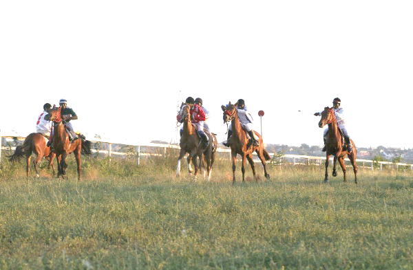 • Some of the horses racing to the finish line