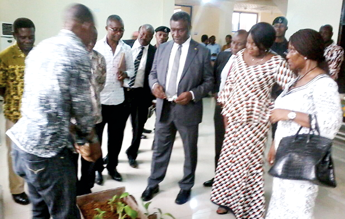 A scientist with CRI explaining the process of  plantain sucker multiplication to Dr kwabena Frimpong Boateng (in suit ). Those in the picture include, Mad Patricia Appiagyei (2nd right), the Deputy Minister of Environment, Science and Technology, and the Dr Stella Ama Ennin (right), Director of CRI