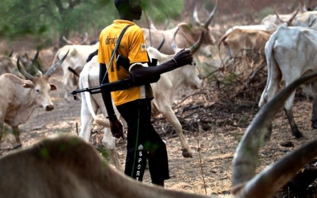 Fulani herdsmen fined GH¢5,400