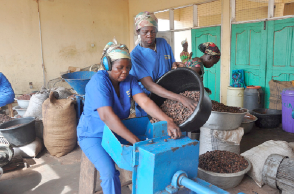  Some women processing shea nuts