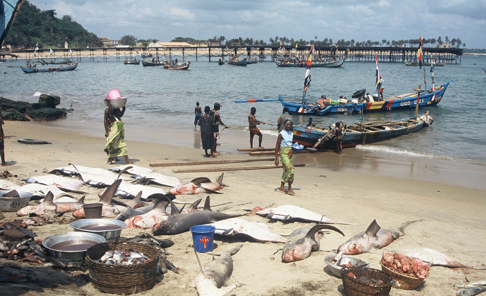Move to address challenges in fishing industry