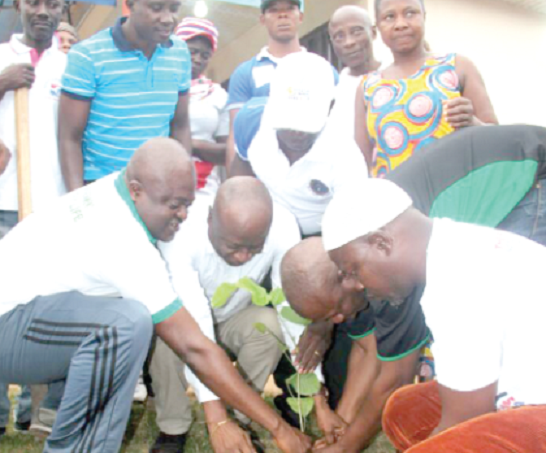 Mr Akonuasah Gyimah ( squatting ), the Asokwa sub-metro Chairman, being assisted by Nana Yaw Wiredu ( left) and other volunteers to symbolically plant the first seedling during one of the tree planting exercises at the Ahinsan Estates in Kumasi