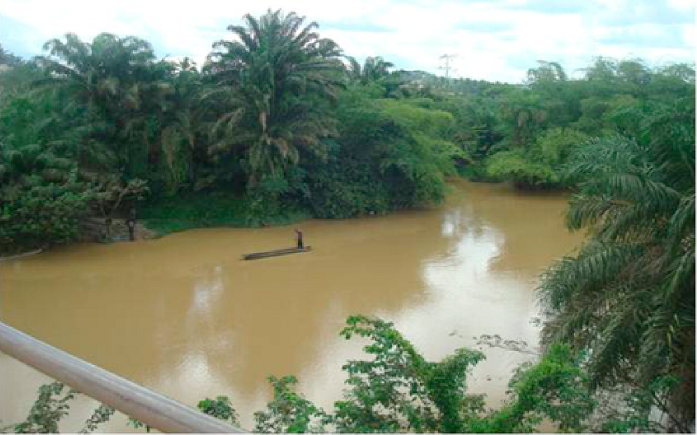 Almost Ghana's rich labyrinth of river bodies have been polluted by self-styled galamsey operators, some of whom are foreigners