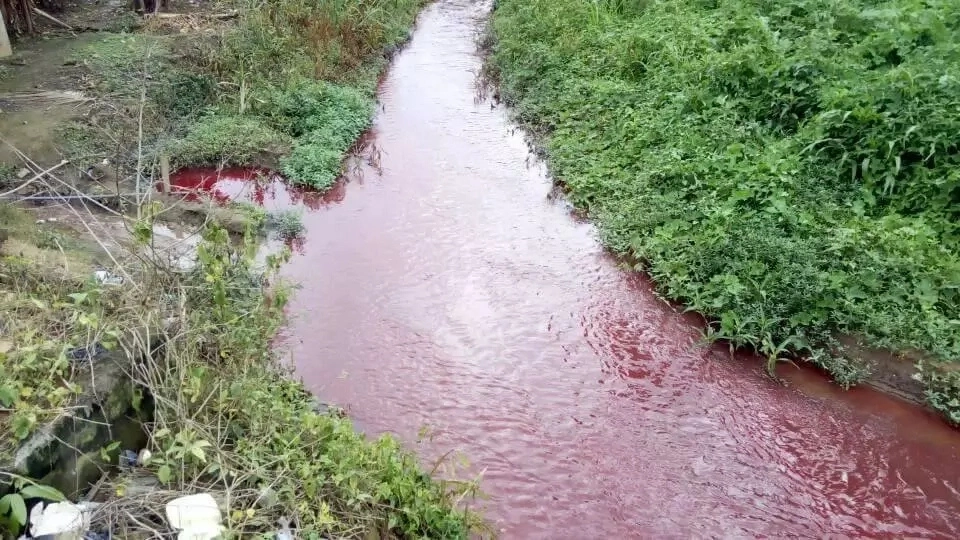 Recently, we also heard of a stream in Koforidua that had turned into blood and as usual, the spiritual aspect surfaced until a counter report came to put the matter to rest.