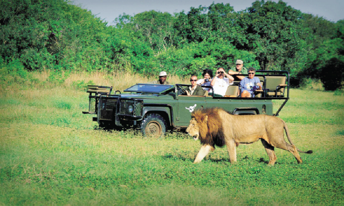 Tourism in Africa largely remains an untapped opportunity