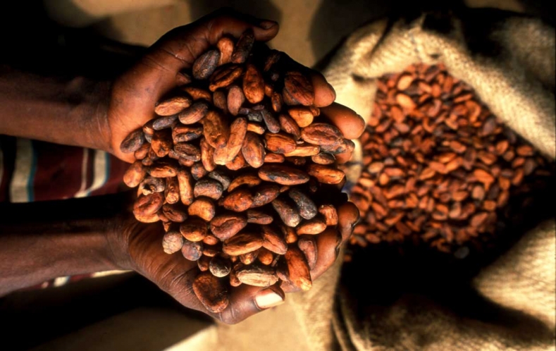 Ghana, Cote d’Ivoire appeal for $1.2bn loan from AfDB to add value to cocoa