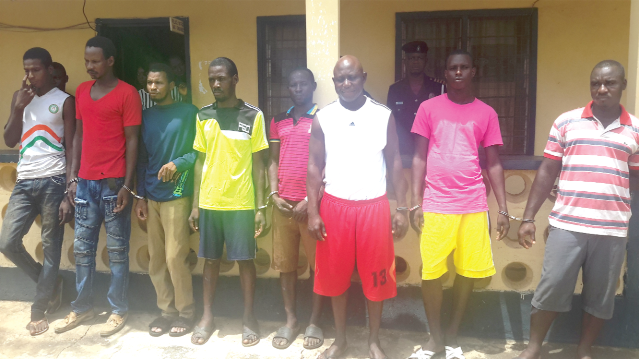Police arrest 11 alleged armed robbers