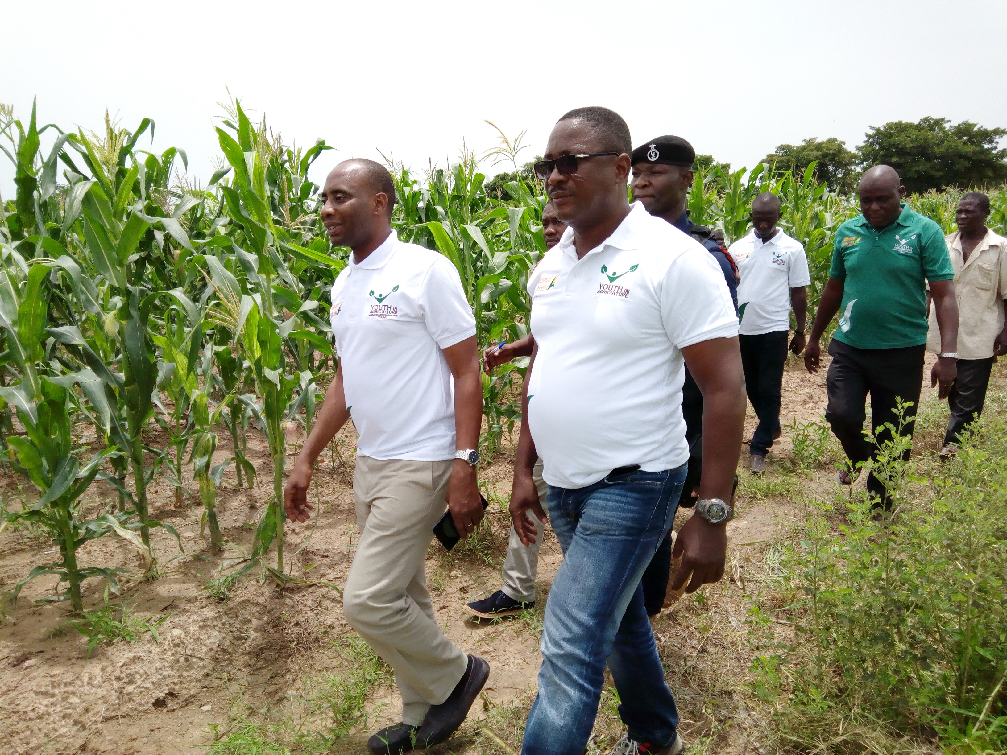 Dr Sagre Bangbangi (left), Mr Klutse Kudomor and other officials inspecting a maize farm