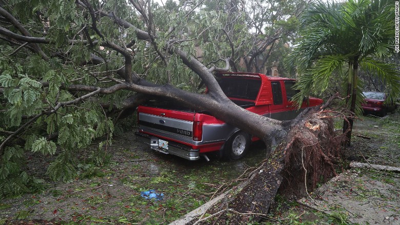 High winds from Hurricane Irma knocked a tree onto this pickup truck in Miami on September 10.