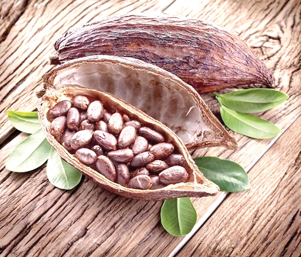 From tree, to pod, to beans, no part of the cocoa goes waste