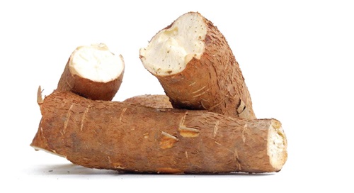  Cassava is a major contributor of cyanide in our foods