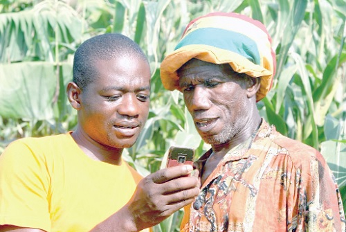 Farmers using the phones on the farm. Credit: Ghana Talks Business