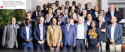 Vice-President Dr Mahamudu Bawumia (middle) with members of the European Union ambassadors and some government officials 