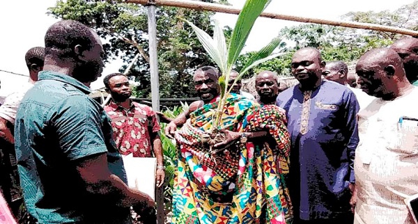 Barimah Effiriti Sampson-Siaw (in cloth), Mawerehene of the Dormaa Traditional Area, handing over one of the seedlings to a beneficiary farmer. Looking on is Emmanuel Kofi Agyemang (2nd from right), the Dormaa East DCE