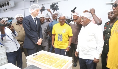 President Akufo-Addo (3rd fom right) being briefted by Ruth Smith Adjei (4th from right),  Director of Blue Skies, West Africa, and Anthony Pile (2nd from left), Chief Executive Officer, Blue Skies, at the processing plant of the company. Picture: Samuel Tei Adano