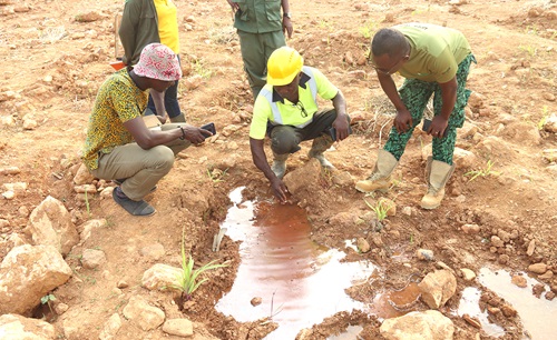 At the Supoma Forest Reserve, a local company, Fineness Elevation Company Ltd, is reclaming 22.8 hectares of degraded forest reserve. Workers of the company and Forestry Commission officers, demonstrating to our reporter, Timothy Ngnenbe, the visible evidence of the dangers chemicals used by illegal miners pose to the land