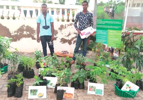 Two volunteers with seedlings for planting