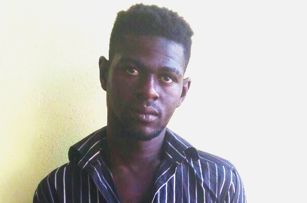 Man, 22, arrested for alleged murder