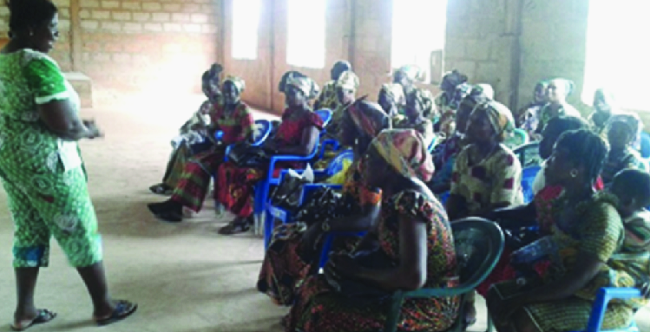Farmers trained to boost cassava production