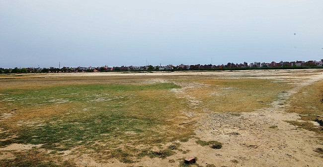 ‘Regularise size of land companies can acquire’