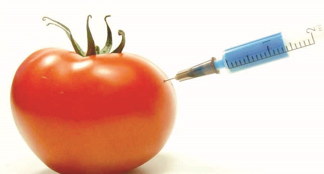 How GMOs can help protect our habitats and ecosystems