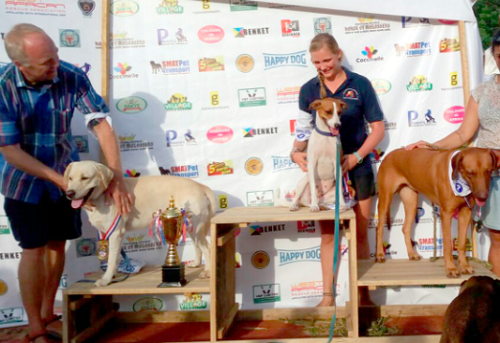 Some award winners with their owners