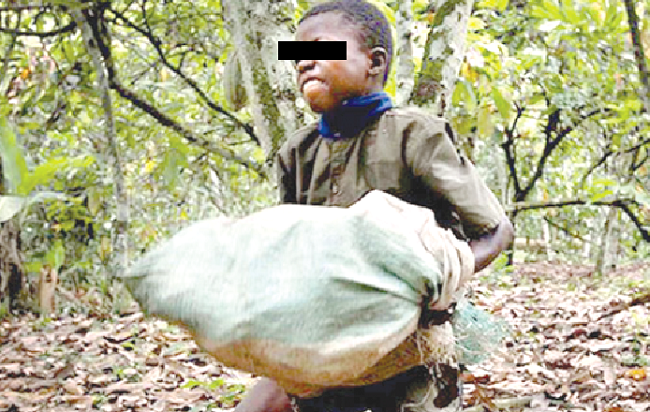 Child Labour: A global canker