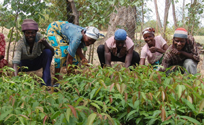 He said this included training of 400 fruit and vegetable farmers in the Eastern and Greater Accra Regions of Ghana to improve their knowledge on the correct use of pesticides, traceability and waste management.