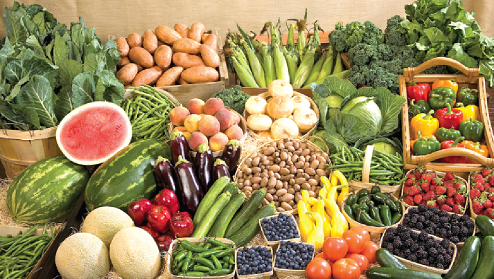  Sticking to plant-based diets can help lower cholesterol levels