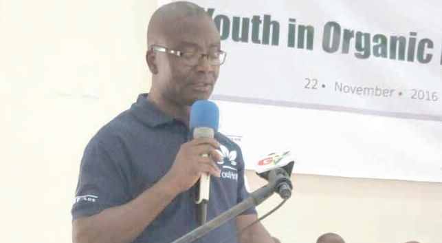 Programme to entice youth into vegetable cultivation launched