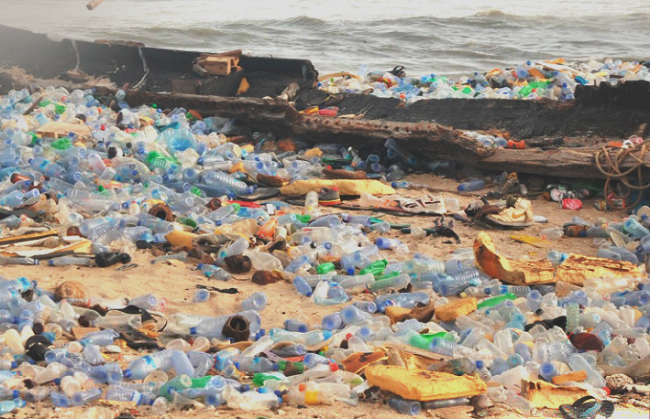 EPA seeks legal backing to protect marine resources