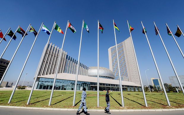 What is the purpose of the African Union?