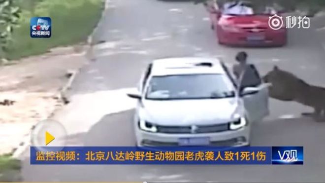 Chinese television showed footage of the incident