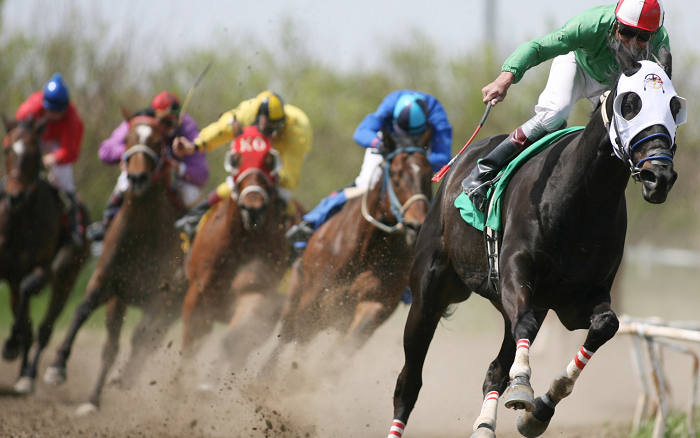 Horse racing: Mr K bounces back Saturday