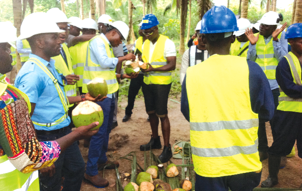 Some journalists enjoying coconut planted on a reclaimed land at Gold Fields Ghana's Damang Mine in the Western Region.