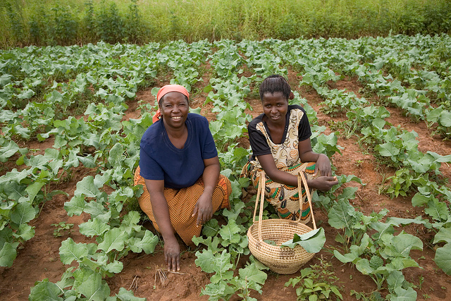 Researchers discuss ways to boost agricultural extension 