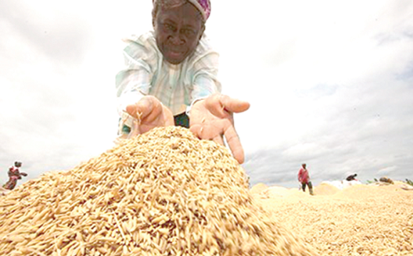 World Bank would continue to support initiatives to increase agricultural production in the country