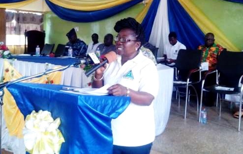 Mrs Lucy Perbi Nyarko - Upper East Regional Area Manager of the VRA