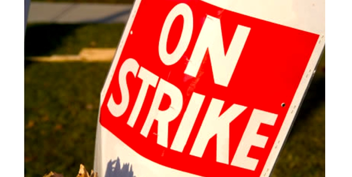 Strikes and indiscipline will defeat the purpose of job creation