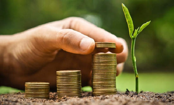 Shareholders have “shares” in the business