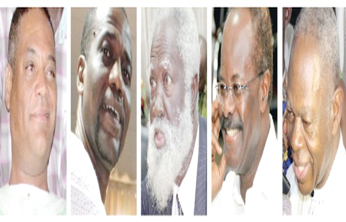 17 Aspirants beat deadline to run for President